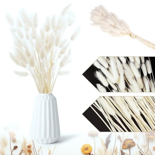 Ceeyoll 60 Pièces Petite Herbe De Pampa Queues De Lapin Blanches Décor d'herbe, Décoration Naturelle Fleur Sechees Boheme,des Fleurs artificielles pour la décoration de Salle de Bains.