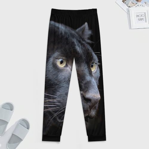 Wild Black Panther Comfortable Mens Pajama Pants Soft Breathable Long Bottoms Sleep Pants4