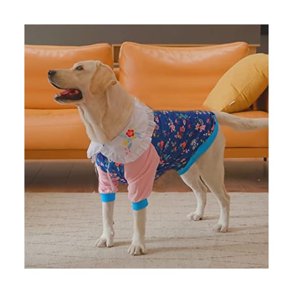 LovinPet Dogs Shirts, Wound Care Anti-Shedding Cute Lapel Dog T-Shirts for Large Dog, Lightweight Stretchy Pink Stitching Multi-Flower Prints Large Dog Pjs for Dogs Party Dog Outfit Dog Apparel LovinPet Dogs Shirts, Wound Care Anti-Shedding Cute Lapel Dog T-Shirts for Large Dog, Lightweight Stretchy Pink Stitching Multi-Flower Prints Large Dog Pjs for Dogs Party Dog Outfit Dog Apparel