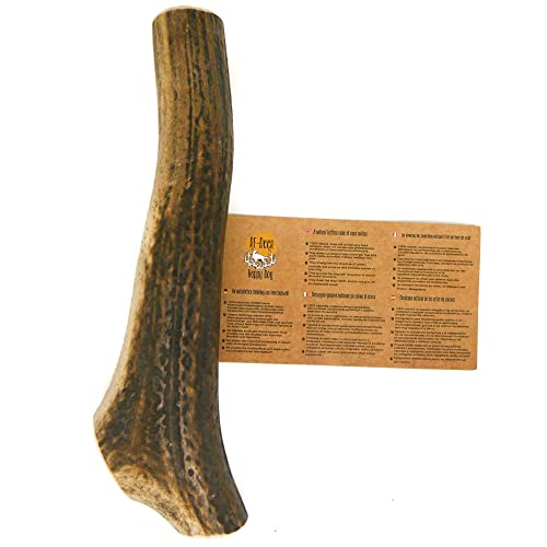 RF - DEER Hirschgeweih | Geweihstück Größe XL | natürlicher Geweih-Kausnack für Hunde | gesunder Kauspielzeug | Kauknochen für Genuss und Zahnpflege | Hard Version Cover