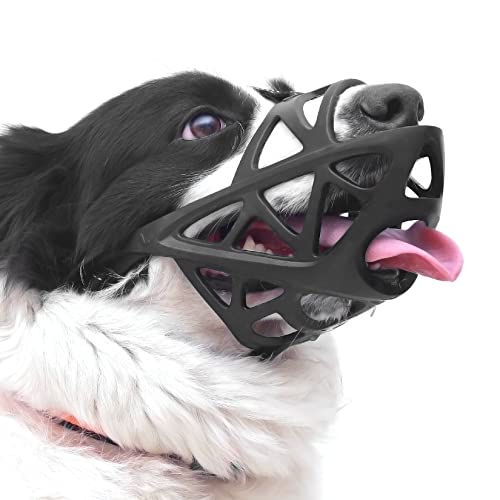 Top 10 Muzzle For Scavenging Dogs of 2022 Katynel