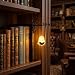 Imagen de Lámpara de Biblioteca Vintage para Estantería