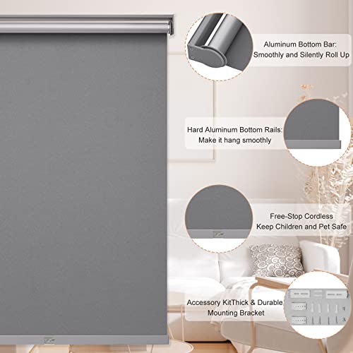 Myshade Blackout Roller Shades For Windows, Cordless Roller Window Shades, Roll Up Window Blinds With Thermal Insulated, Uv Protection, Easy To Install For Home And Office 25" X 72"(Grey) #TOP1