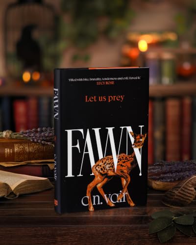 Fawn image 4
