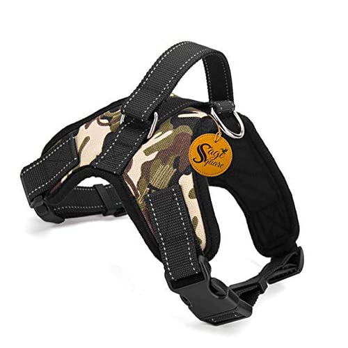 Sage Square Adjustable Cushion Padded Dog Sport Harness with Lifting Handle & Extra Comfort. (Medium) (B09C1W82KX) Amazon Price History, Amazon Price Tracker