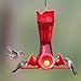 Perky-Pet 203CPBR Pinchwaist Hummingbird Feeder, Red Glass
