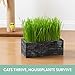 The Cat Ladies Cat Grass Kit with Black Rustic Wooden Planter, Organic Cat Grass Seeds and Soil. Easy to Grow Cat Grass for Indoor Cats. Prevent Hairballs and Aid Digestion