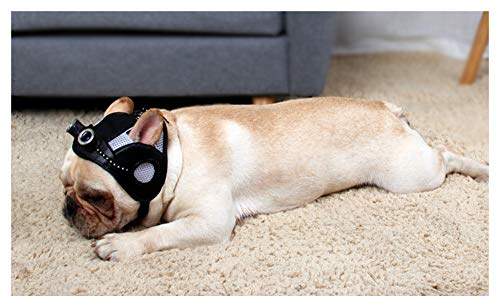 Dog Hat, Pet Retro Mesh Breathable Leather Visor Cap Adjustable Strap For Bulldog And French Bulldog (Black) #TOP3