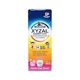 Xyzal Children's 24 Hour Allergy Relief Medicine for Kids, Levocetirizine Dihydrochloride Liquid Antihistamine, Bubble Gum, 10 Fl. oz.