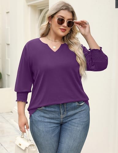 Rapbin Womens Plus Size Tops 3/4 Sleeve Blouses Shirts Casual V Neck Loose Tunic Tops 1X-5X
