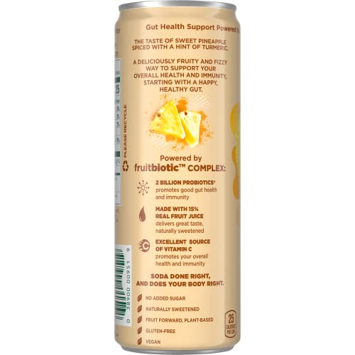 The Secret Nature Of Fruit Probiotic Fruit Soda, Supports Gut Health & Immunity, 2 Billion Probiotics, Zero Added Sugar, 15% Fruit Juice, High In Vitamin C, Spiced Pineapple - 12Oz (Pack Of 12) #TOP1