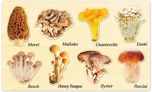 MoinKidz Jumbo Wooden Mushroom Puzzle, Fall Jigsaw Puzzles for Kids Ages 3-5, Montessori Preschool Puzzles for Toddlers, Educational Learning STEM Toys