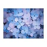 PHAYAH Manta de hortensia de 152 x 127 cm, manta grande y esponjosa de franela para sofá o cama