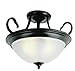 Trans Globe Lighting 7292 ROB Bishop Ceiling Fixture, Black