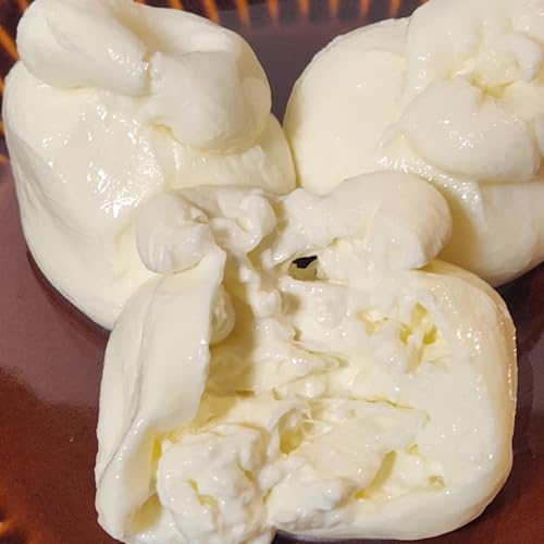 qGlobal WishrC^AY ~ju[^ `[Y 150g ① ? T_G߂̃t[cCɍœK Italian Mini Burrata Cheese Chilled 150g ? Perfect for Salads Seasonal