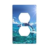 Taille standard pour une installation facile sur les plaques murales de gang, couvrant plus d'imperfections murales, ce qui les rend parfaites pour décorer n'importe quelle prise standard. Comprend une plaque murale vierge avec vis décorative, idéale pour les zones résidentielles et commerciales.