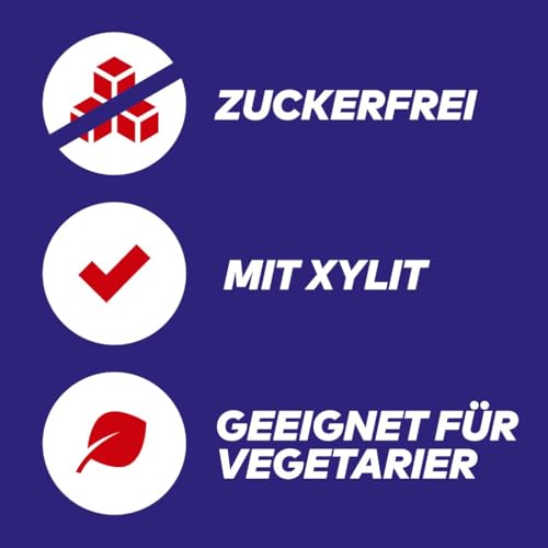 Extra Professional Kaugummi Zuckerfrei, White Granatapfel, 50 Dragees, Großpackung Chewing Gum, Xylitol Kaugummi ohne Zucke mit Granatapfelgeschmack Minz Frische (50 Dragees)