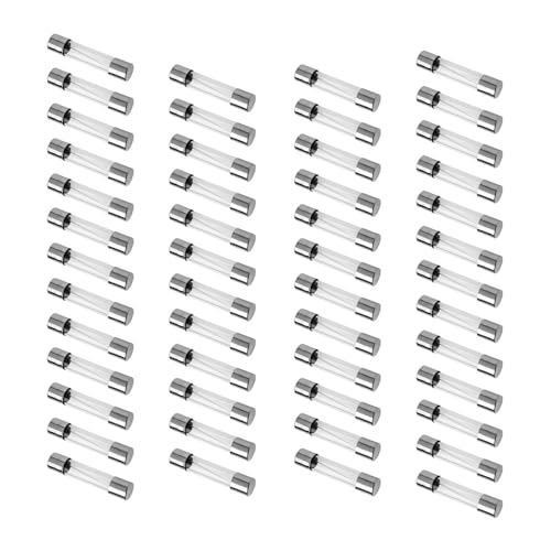 Copapa - Tubos de fusibles de vidrio (50 unidades, 250 V, 15 A, 15 A, rápida acción de soplado de 5 mm x 20 mm, 15 A)