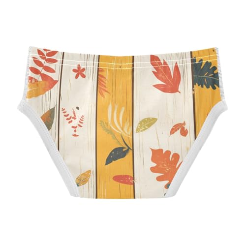 Autumn Leaf on Old White Wooden Toddler Boys' Pure Cotton Kids Underwear Cute Children Undies2