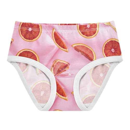 Fancy Toddler Underwear Floral 2t Cotton Cute Panties Girl Blood Orange Slices Pink Briefs Girls Undies