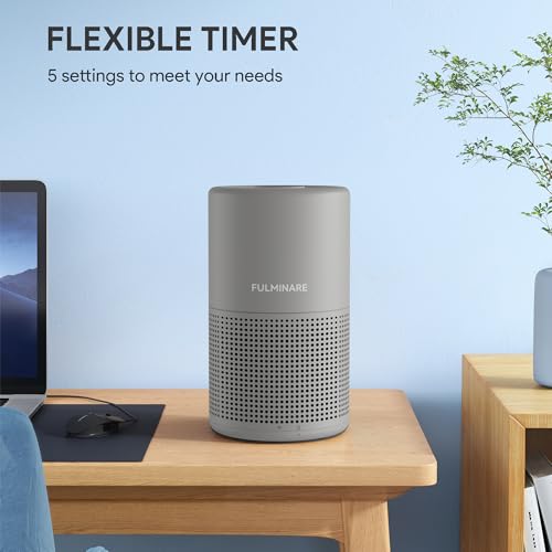 Image of FULMINARE Air Purifiers for Bedroom H13 True HEPA Air Filter, Quiet Air Cleaner With Night Light, Portable Small Air Purifier for Home, Office, Living Room (Gray)
