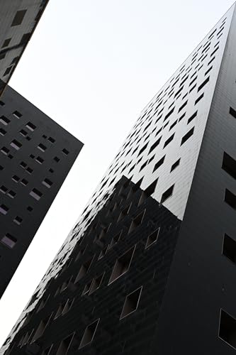 Nikon NIKKOR Z 85mm f1.8 - vue 7