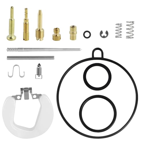 Kit reconstruction carburateur 19mm résout calage et démarrage difficile 50cc au 125cc