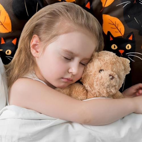 Housse de coussin chat noir velours doux 50x50 pour protéger vos canapés