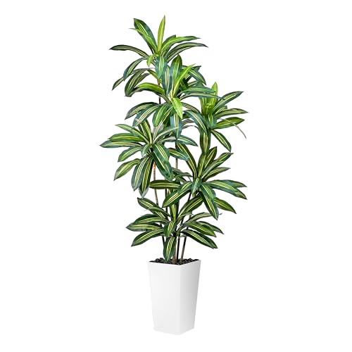 Artificial Dracaena Tree 6FT Tall Fake Plant with White Planter - Realistic Faux Dragon Tree with Tall Planter - Indoor Floor Plant for Home, Office,Mall, Living Room, Bedroom Decor