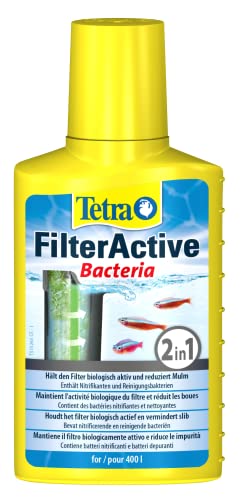 Tetra FilterActive 100 ml - Contiene bacterias iniciadoras vivas y bacterias limpiadoras reductoras de lodo