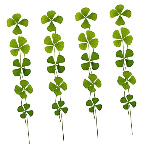 STOBAZA 24pcs Hojas Secas Naturales para Manualidades