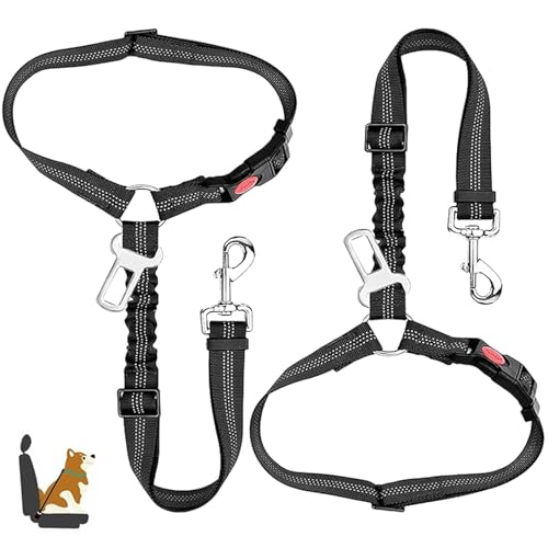 Descubre el Tesoro Canino: Actividad Mental para tu Perro 1 Collares de cinturón de seguridad para perro, arneses y correas p...