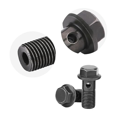 Watris Veiyi 5 Stück M10x1,25mm Bremse Bolzen, Motorrad Bremsschrauben, mit 10 Unterlegscheiben, für Motorräder Hauptbremszylinder