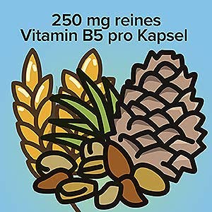 Vitamin B5 Kapseln 250 mg, hochdosiert und pflanzlich