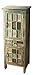 HomeRoots Assorted Acacia Wood Solids, MDF Jodha Painted Accent Cabinet