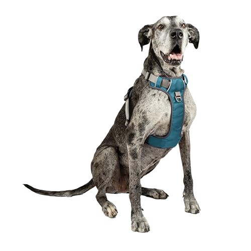 Extra large dog harness the 15 best products compared wild explained