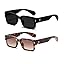 2 Pack (Black/Grey+tortoise/Gradient Tea)