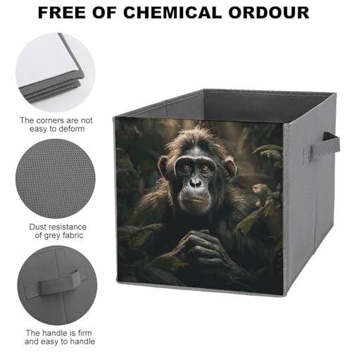 Bacs rangement pliables pour éliminer le désordre des vêtements - 4