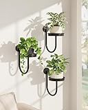 Bamworld Hanging Planters for Indoor Plants Wall Plant Holder Plant Hanger Indoor Wall Planters Window Plant Shelves Hanging Plant Holder Window Plant Hanger Plant Decor Black 3pcs