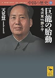 Amazon.co.jp: 中国の歴史9 海と帝国 明清時代 (講談社学術文庫