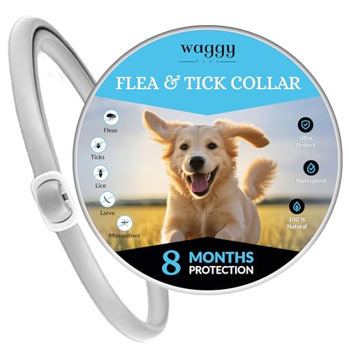 Waggy Plus Collar Antiparasitario Perros Grandes, medianos y pequeños, Collar Antipulgas Perros. Protección eficaz para su Mascota de pulgas, garrapatas, Larvas, piojos y Mosquitos. 100% Natural