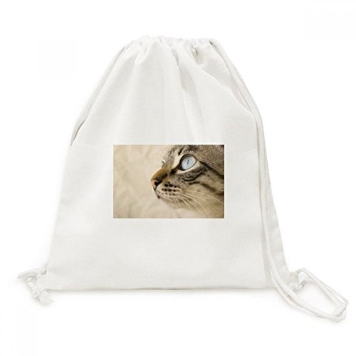 Sac à dos cordon chaton bleu en toile idéal pour vos randonnées