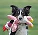 KONG Wild Knots Eagle Dog Toy, Medium/Large