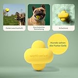 Earth Rated Hundeball, EIN interaktiver Apportierball für alle Rassen in verschiedenen Größen, aus Naturgummi, das perfekte Spielzeug für drinnen und draußen, klein, gelb