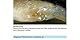 sera med Professional Nematol 10 ml - Arzneimittel für Fische gegen Fräskopfwürmer, Haarwürmer und andere Nematoden, Medizin fürs Aquarium