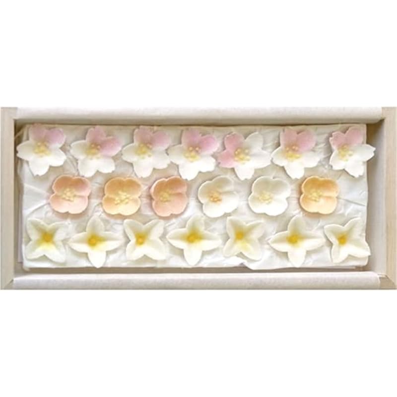 干菓子 花暦 4月の花 さくら ひな草 ポピー Zxmotfa4zj Www Cruzlaw Gi