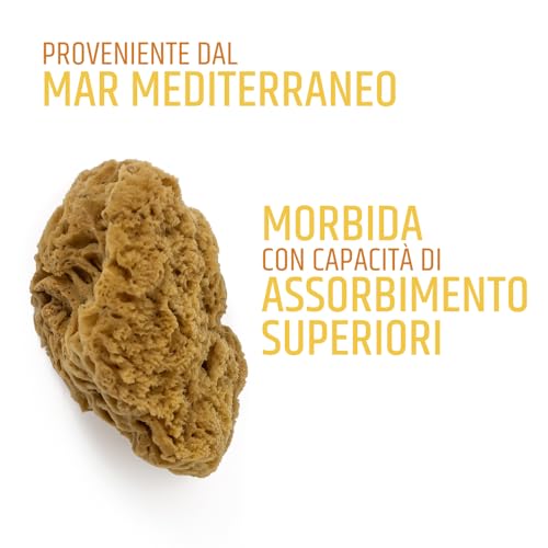PENNELLIFICIO 2000 | Natürlicher Meeresschwamm aus dem Mittelmeer, Schwamm für dekorative Effekte Wand, Durchmesser 14 cm, Produkte von 1. Qualität
