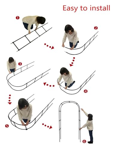 Support en métal pour roses haut et résistant de 1,2 x 2,7 m - 6