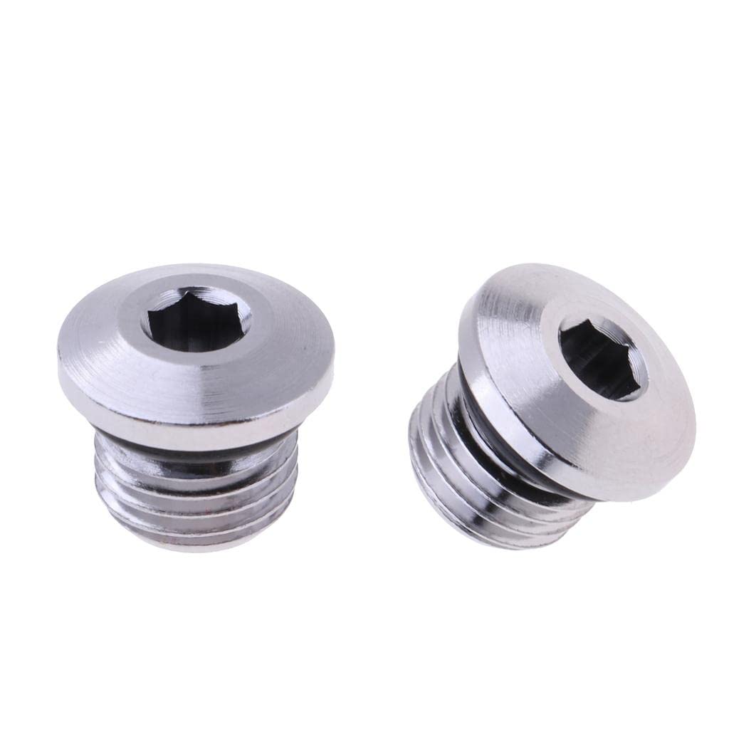 Tongina 2 Pack Scuba Diving Regulator LP Port 3/8 Inch Stainless Steel Plug