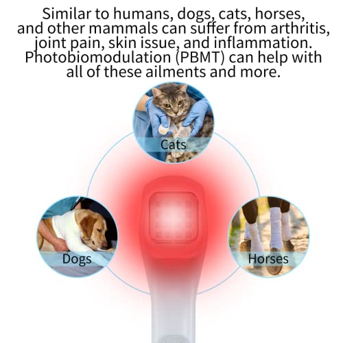 Pet Light Therapy Device, Help Dogs And Cats Suffer From, Аrthritis, Jоint Pain, Inflammation, And Wound Healing, Red Light And Near-Infrared Light Dual Wavelengths, High Irradiance, 3 Treatment Modes #TOP4